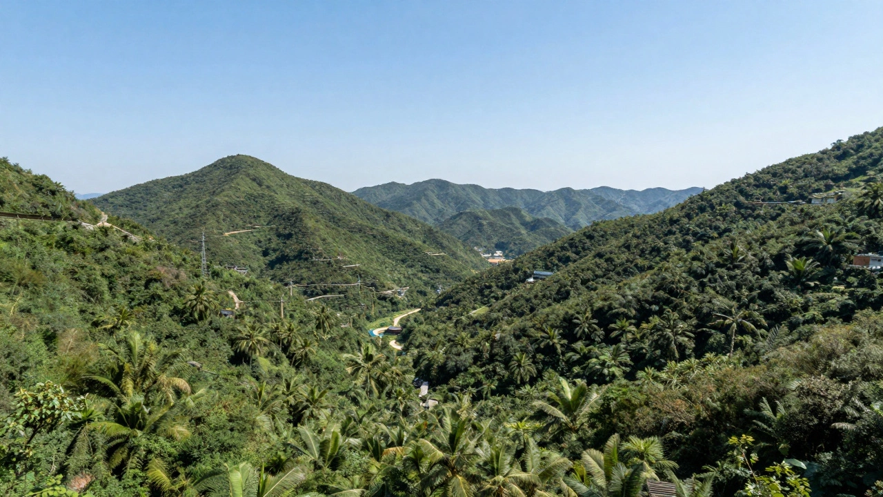 Maintenance in a Damp Climate